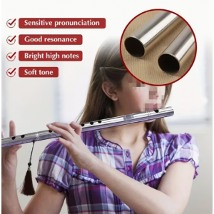 스테인리스 스틸 중국 플루트